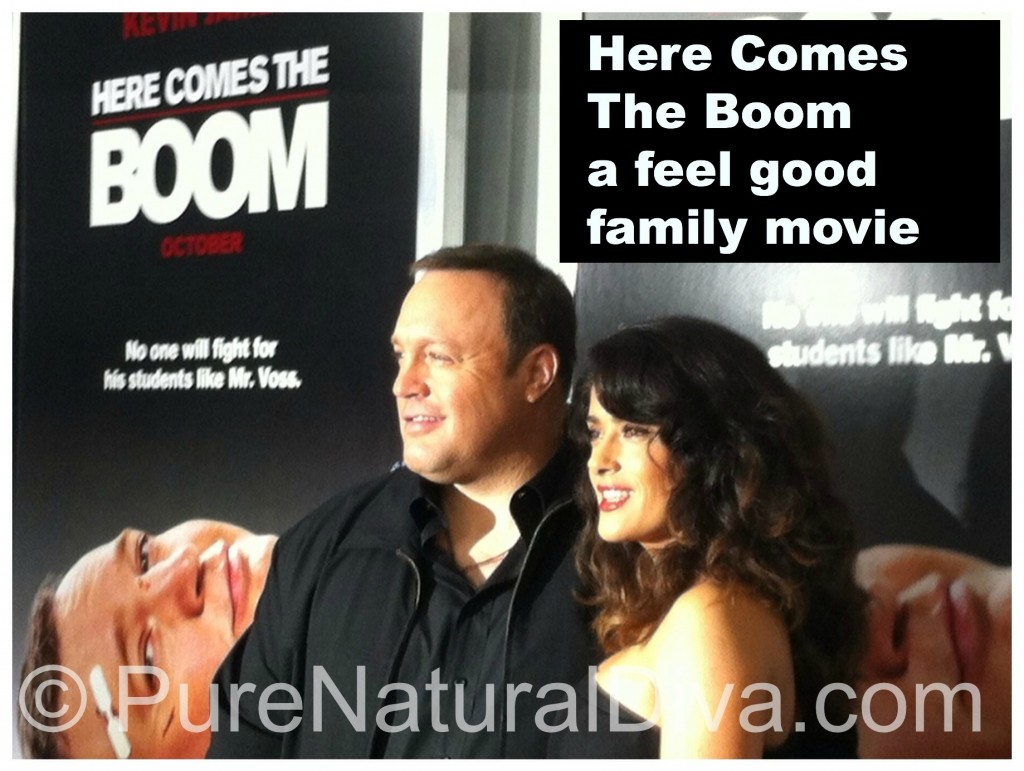 Here Comes the Boom Movie Review